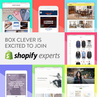 Ecommerce Web Design Agency & Shopify Expert